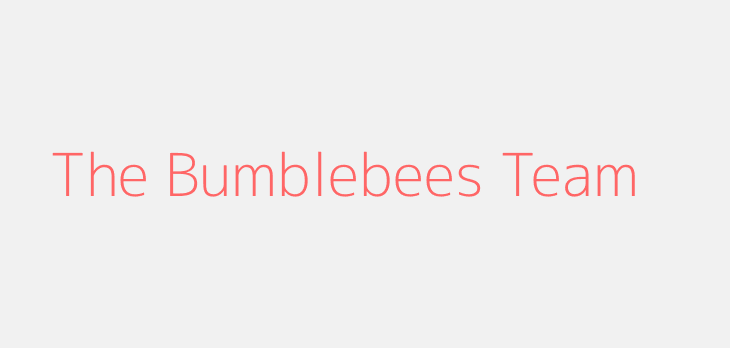 The Bumblebees Team